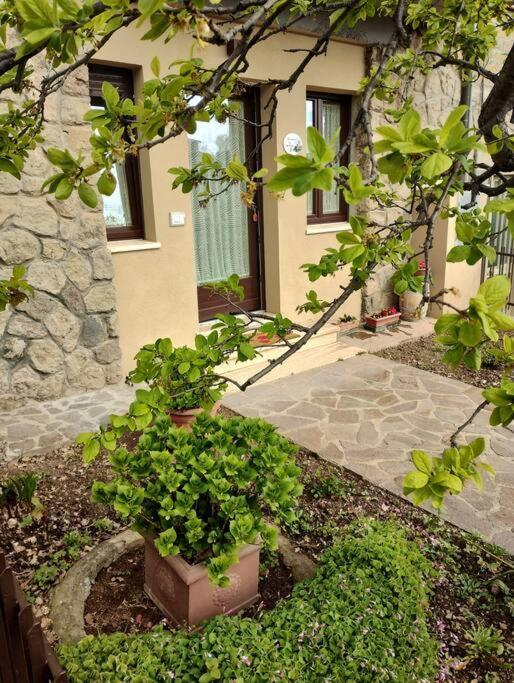 Апартаменты La Casina Di Nonna Giulia Кастильоне-д'Орчия Экстерьер фото