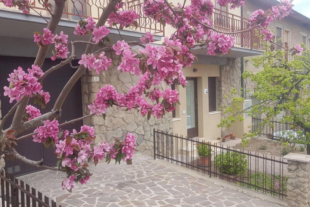 Апартаменты La Casina Di Nonna Giulia Кастильоне-д'Орчия Экстерьер фото